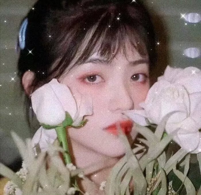 花腐海报