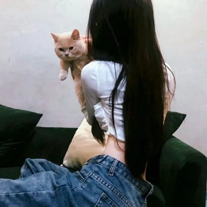 爱丽丝或现实生活海报